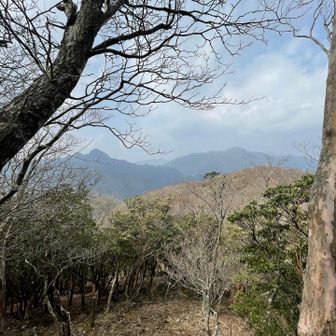 いつもの鎌ヶ岳、雨乞岳、御在所岳。
少し霞んでいます。