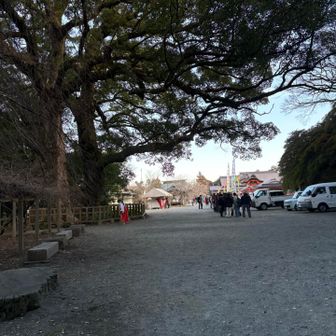 もう並んでる😲
9時半からなのに…