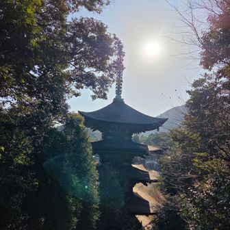 五重塔を上から見下ろすポイント