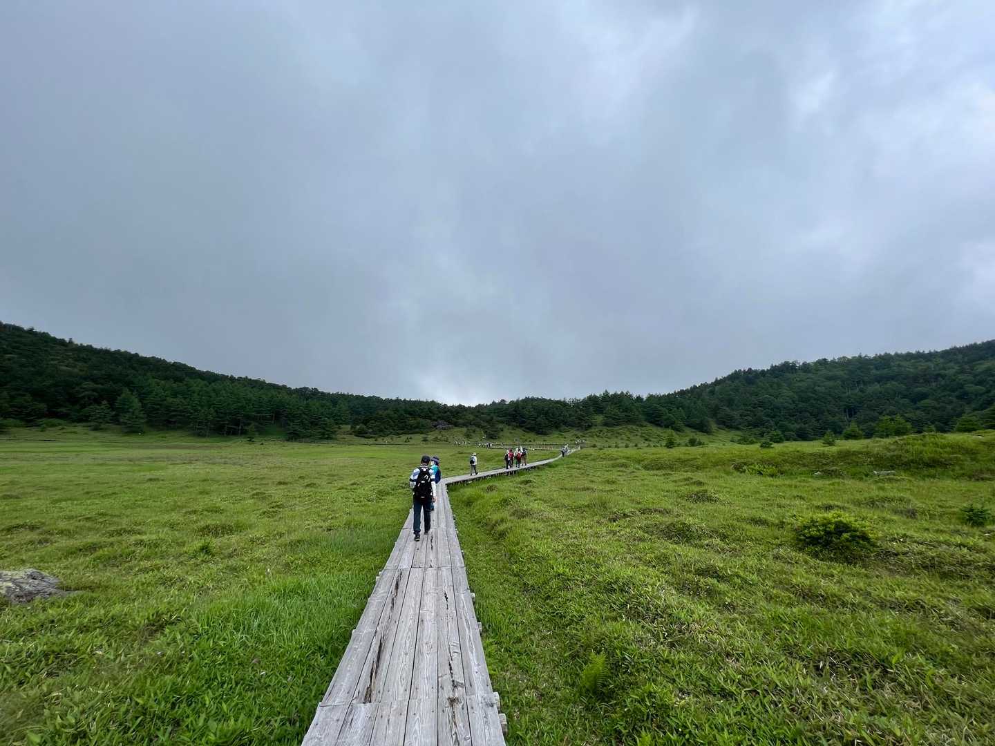 湿原は木道歩きです🌿