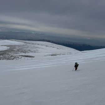カリカリでシール効かずツボで移動