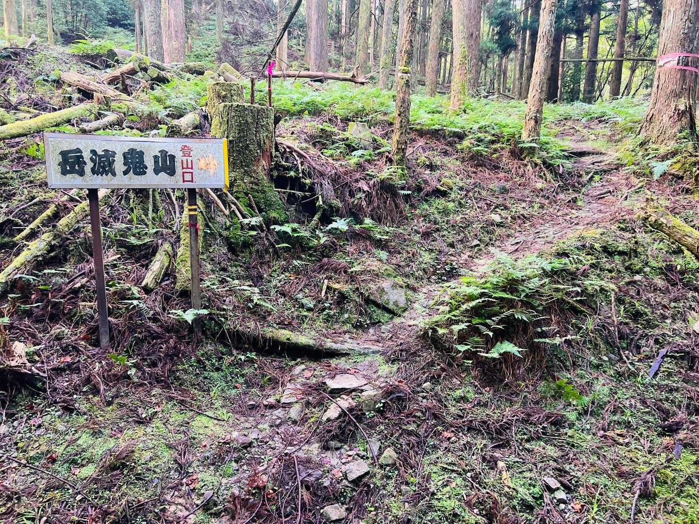 おっ、登山口に来ましたよぉ〜。