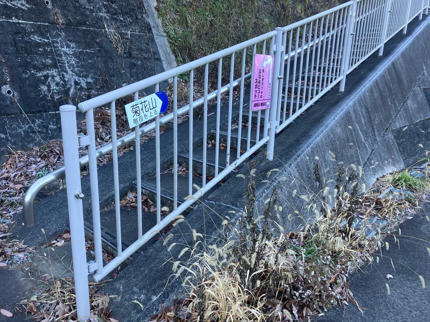 大月駅から出て正面の道をまっすぐ進み、突き当りを右に折れると、菊花山の案内標識が出てきます