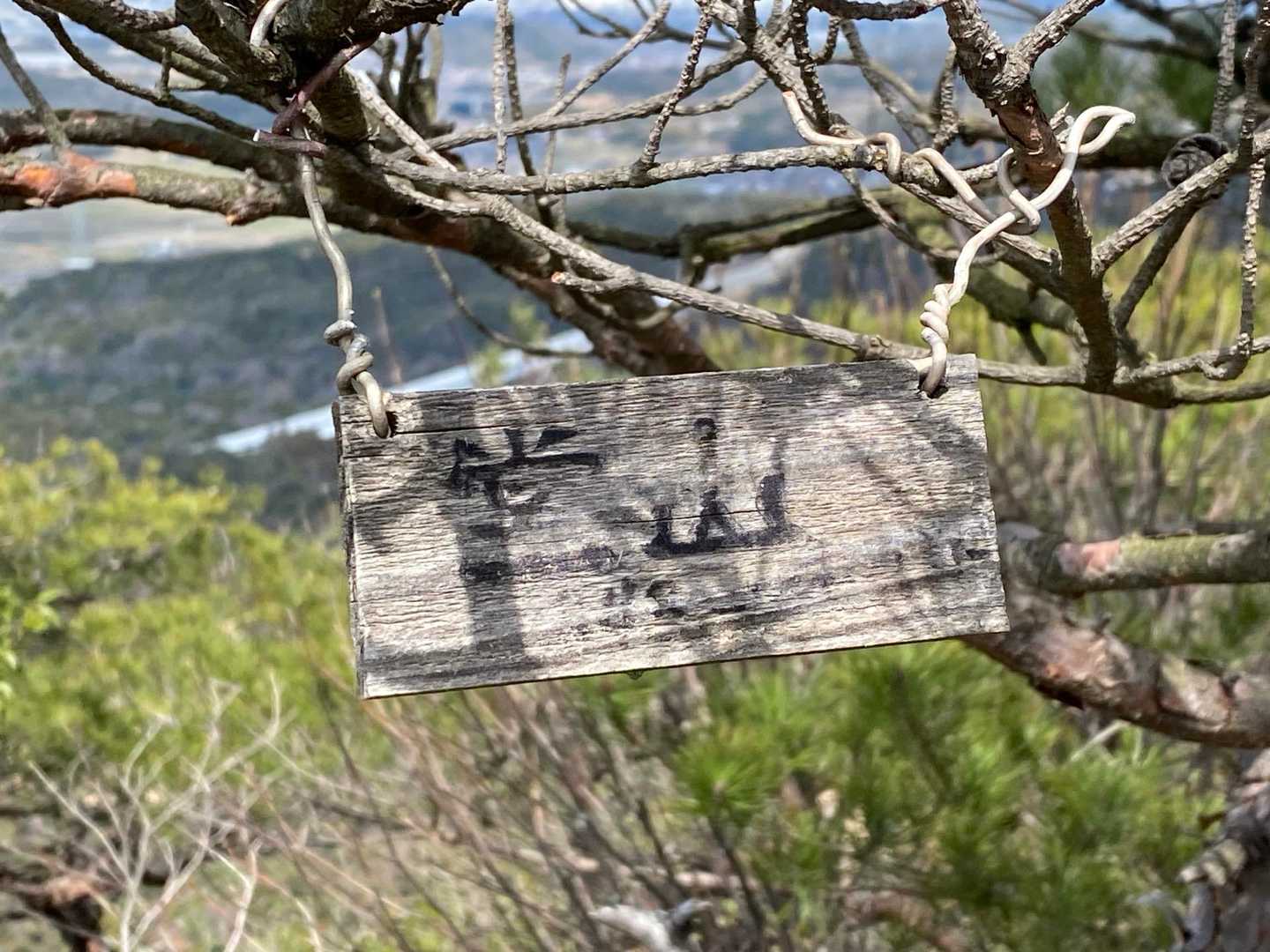 よし、山頂到着‼︎