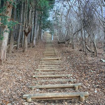 写真じゃわからないだろうなぁ
この階段終わった後もモフモフの落ち葉の急登