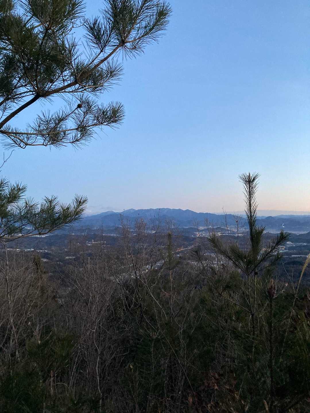 向山 往復コースの写真