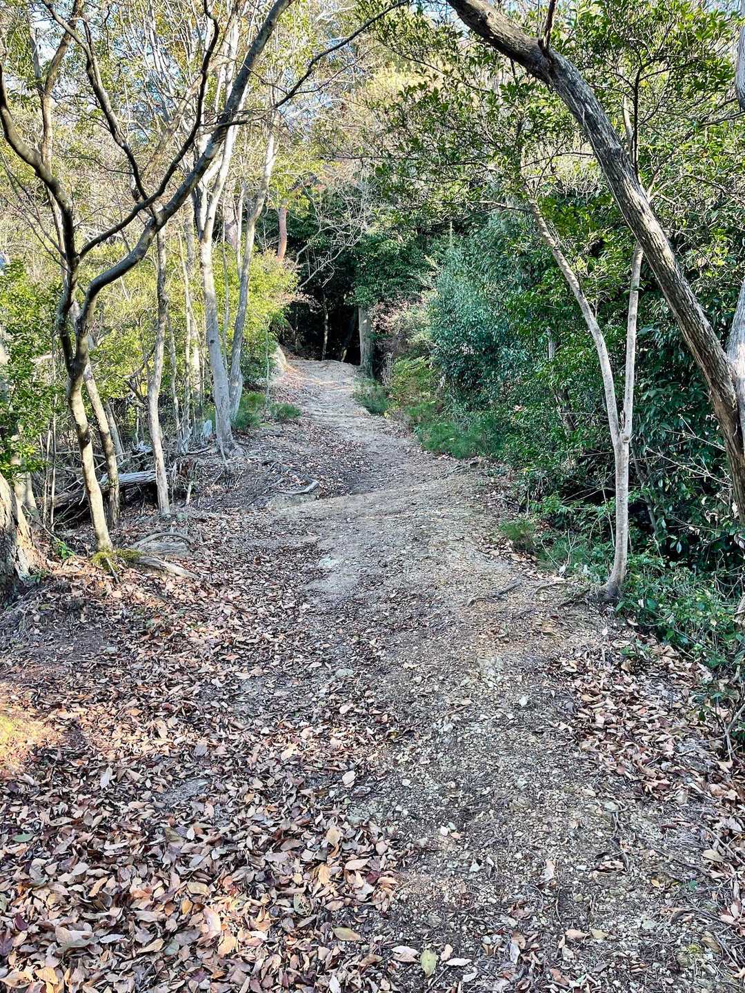 牛松山 往復コースの写真