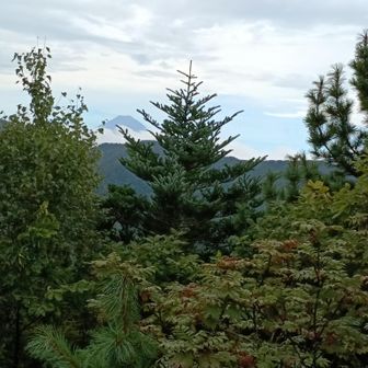 鶏冠山（黒川山）奥の見晴らし台からの冨士山