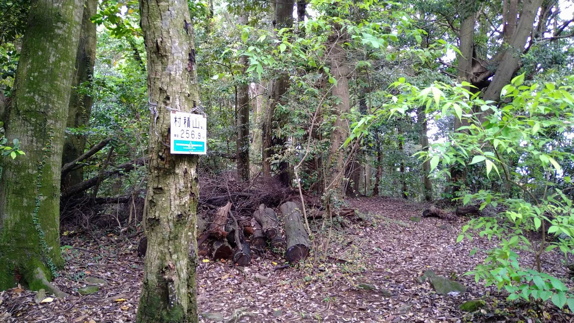 村積山の写真