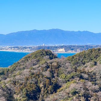 丹沢の山々も良く見えている