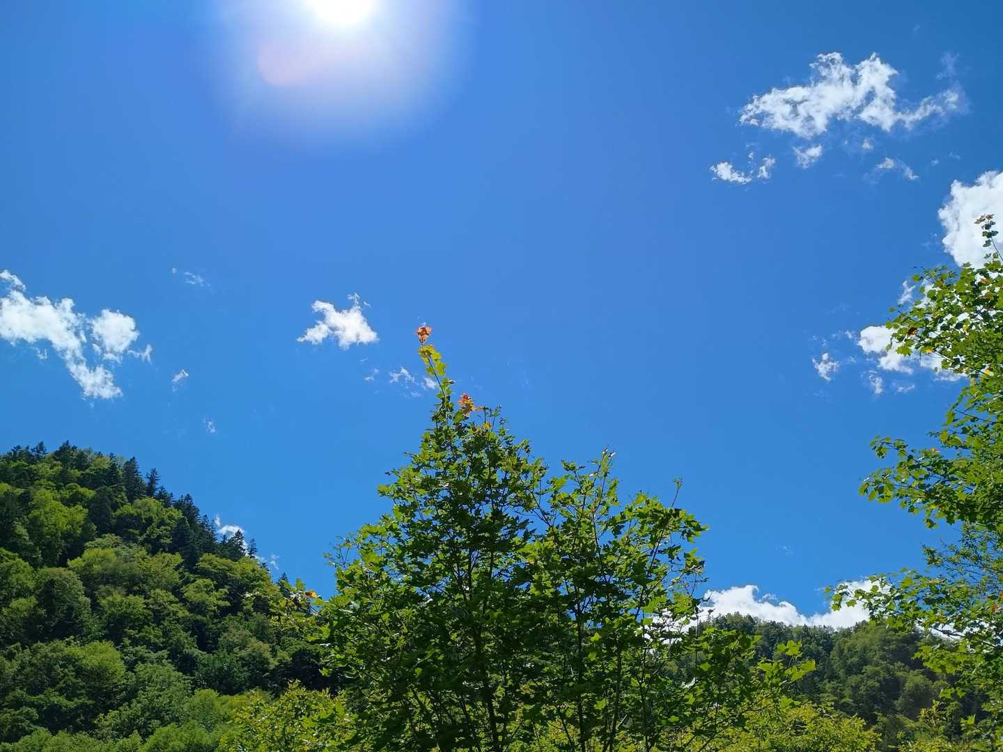 お陽さま🌞青空🔵✨ｱﾘｶﾞﾄ−💕