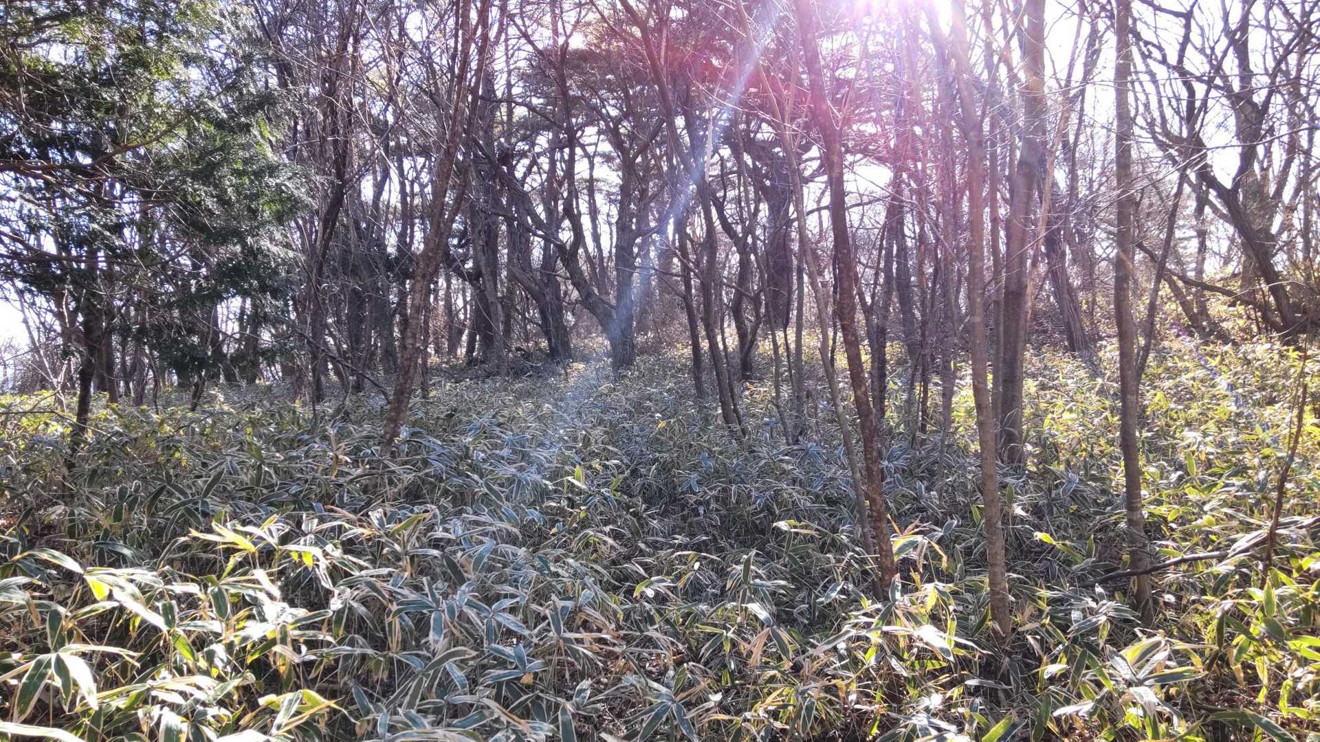この辺りで、ルートロストしたりして、少し徘徊してました😭