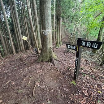 湯久保山はここで曲がらずに直進