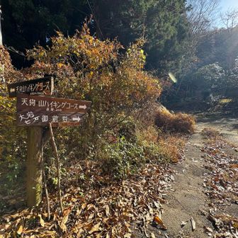 YAMAPルートだと右側の直登ルートでした
（カモシカコースって書いてある）
31チェーン行きたかったのに左側だった🥹

ここまでの林道も暗くて不気味だったし😓