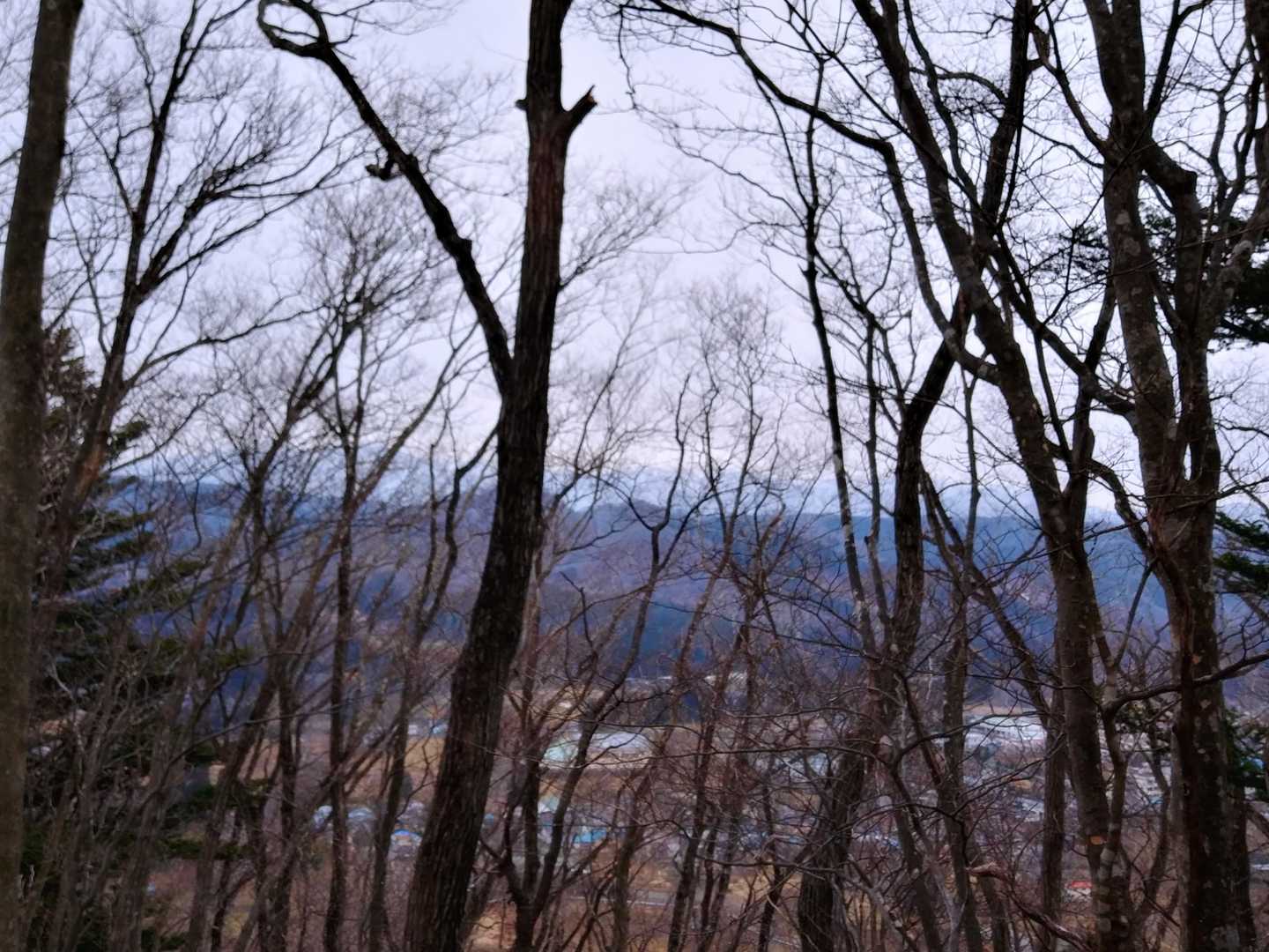 愛宕山・大旗山・やけ山 周回コースの写真