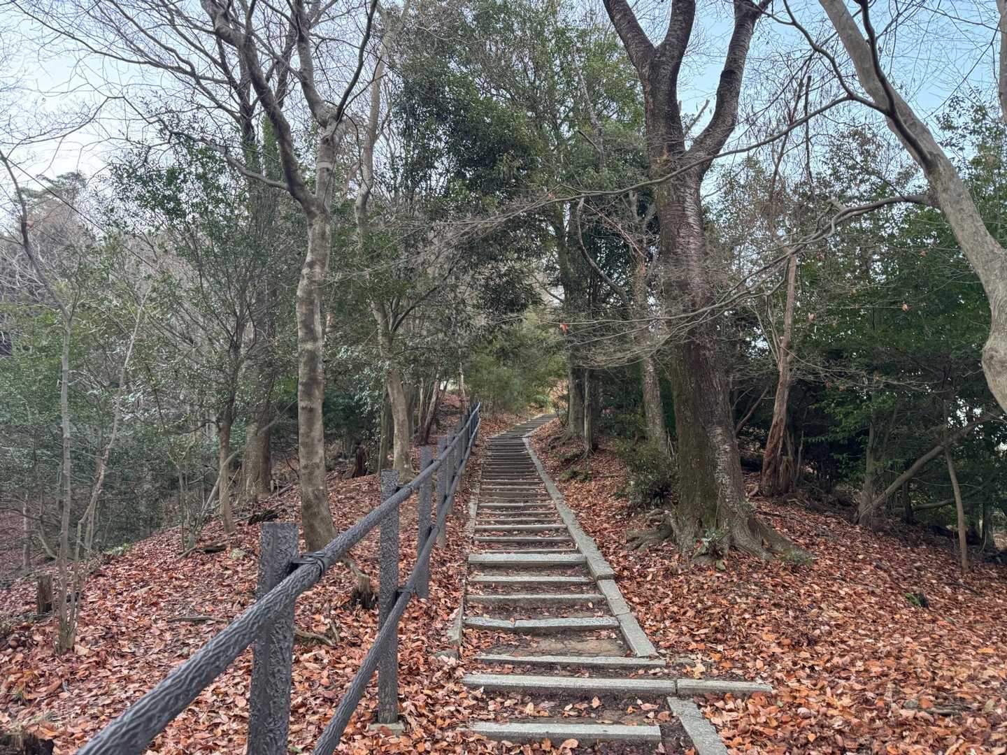 登山口から15分ほどで
火どこの手前にある階段まできました。
