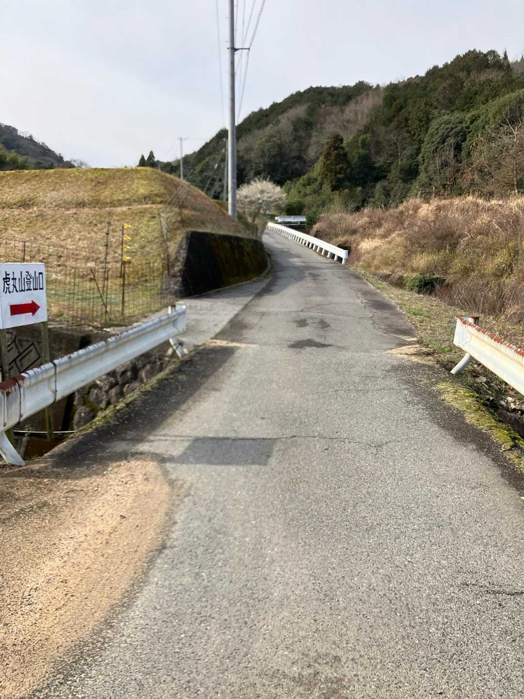 虎丸山 往復コースの写真