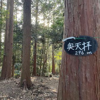 夕陽が差し込んできてます