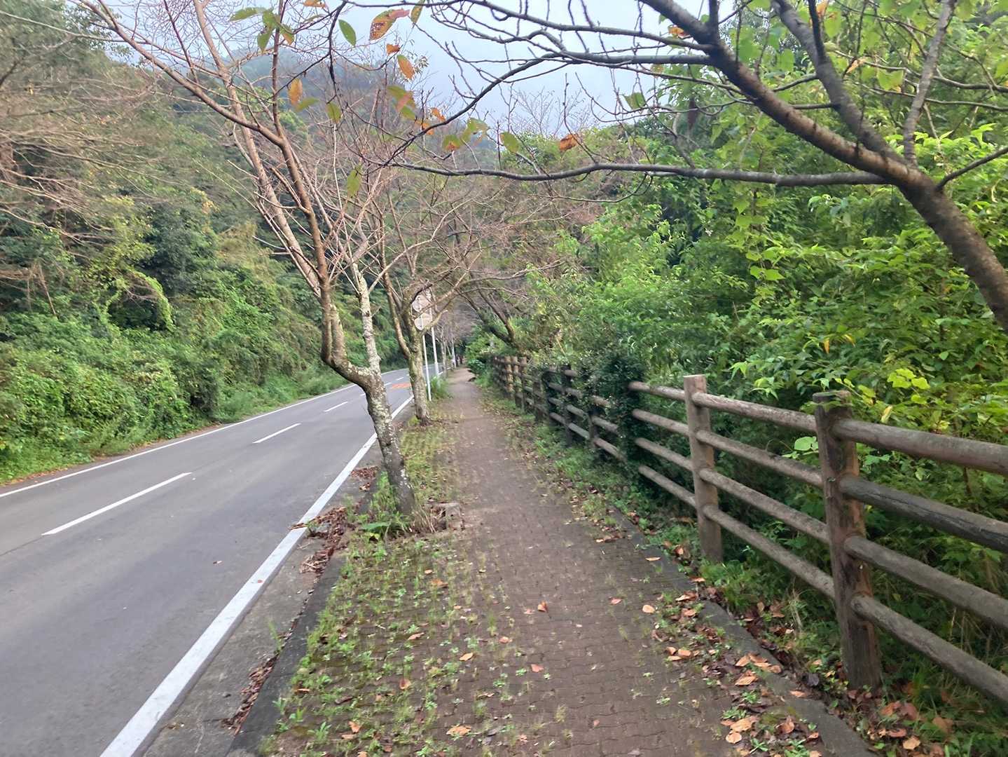 うわぁ〜、ず〜っと急坂ですね😵