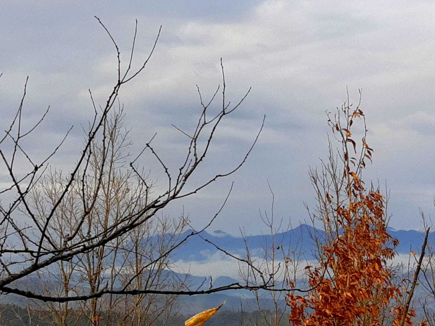 此方は奥日田の『御前岳』『釈迦岳』ですね🎶