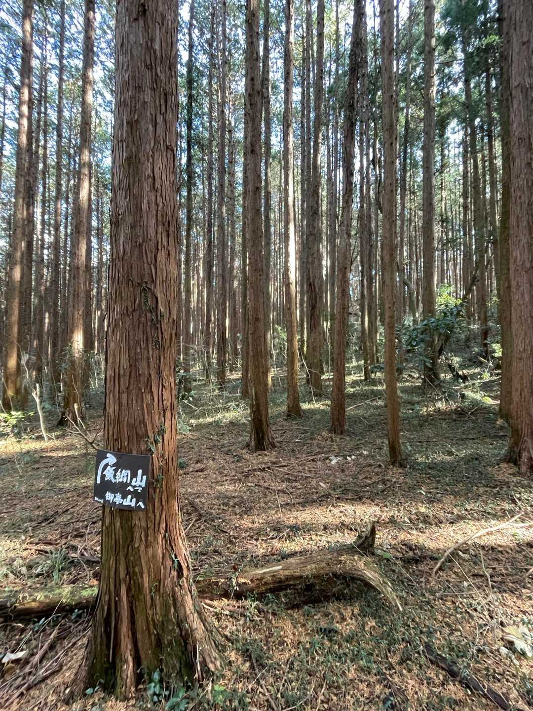 こんな所を歩いていきます。