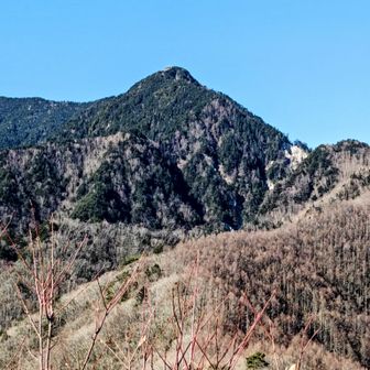 この小八郎岳の先にある烏帽子岳
（南アルプスの烏帽子ではない❌️）