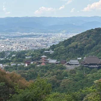 遠くに清水寺が見えます👀
