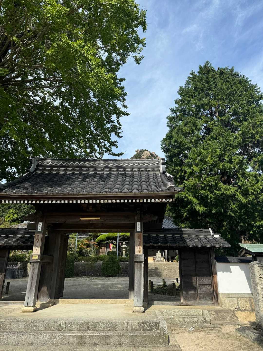 いつもの登山口から