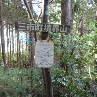 三市町境界山到着