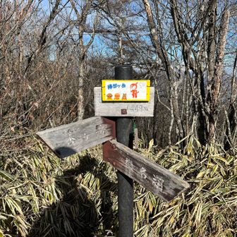 着いた😆掃部ケ岳