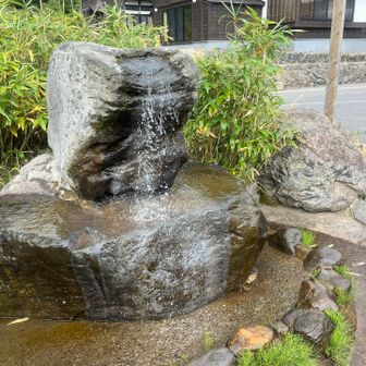 いつもの辰五郎清水で顔洗ってクールダウン