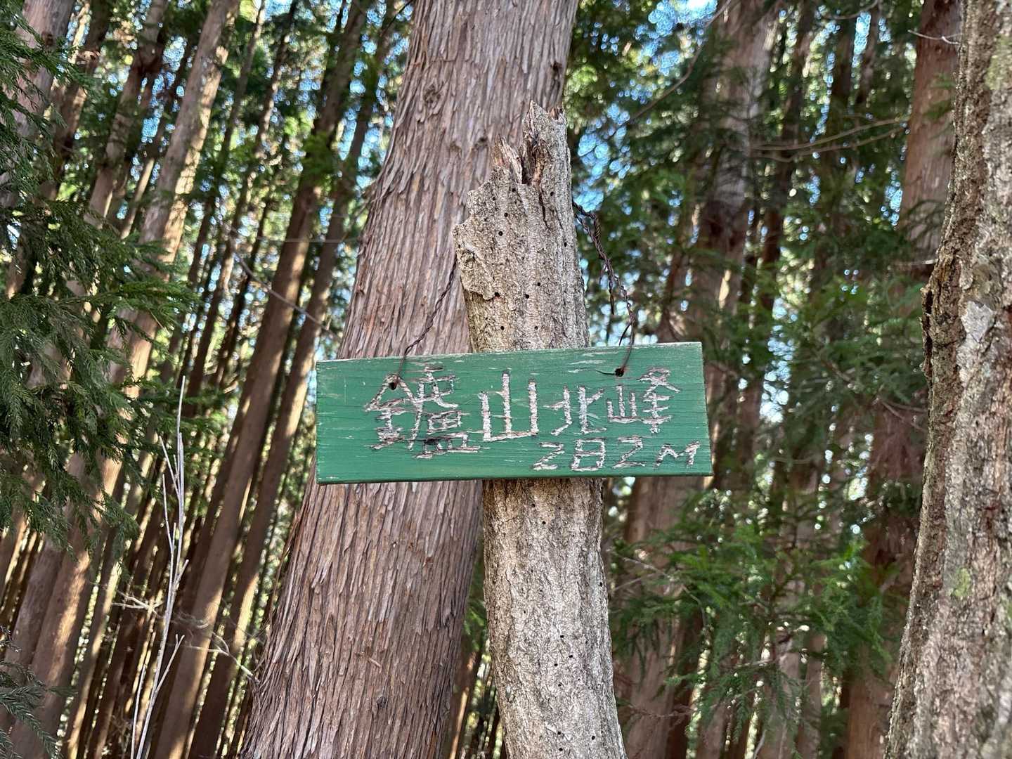 コースを間違ったおかげ？で鑪山北峰を偶然見つけました😊
（YAMAPではピークになっていません）