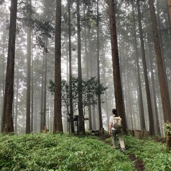 孫山山頂