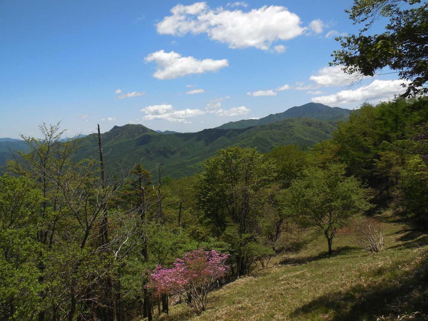 鶏冠山黒川と大菩薩嶺