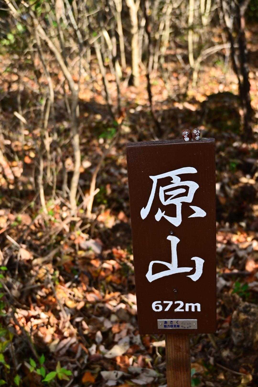 原山　登頂しました🙌
どんぐりトトロが可愛い🩷