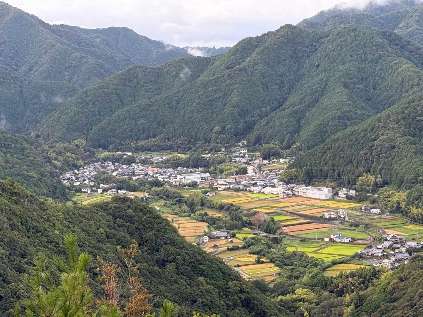 日根野荘