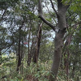 なかみ山到着しました⛰️