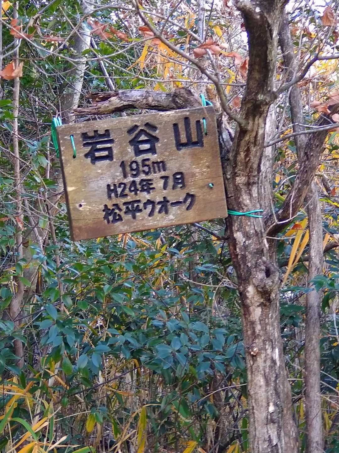見晴らしの良い岩場に山頂銘板がありました。あれ？まだ上があるみたいだと2-3ｍ上に行きましたが雑木林で何も無かった！