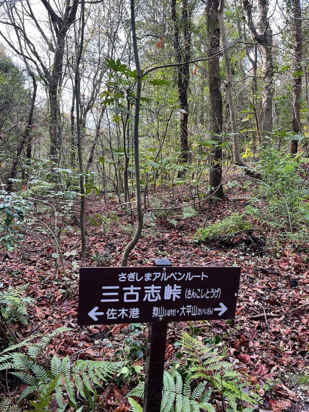 三古志峠（さんこしとうげ）