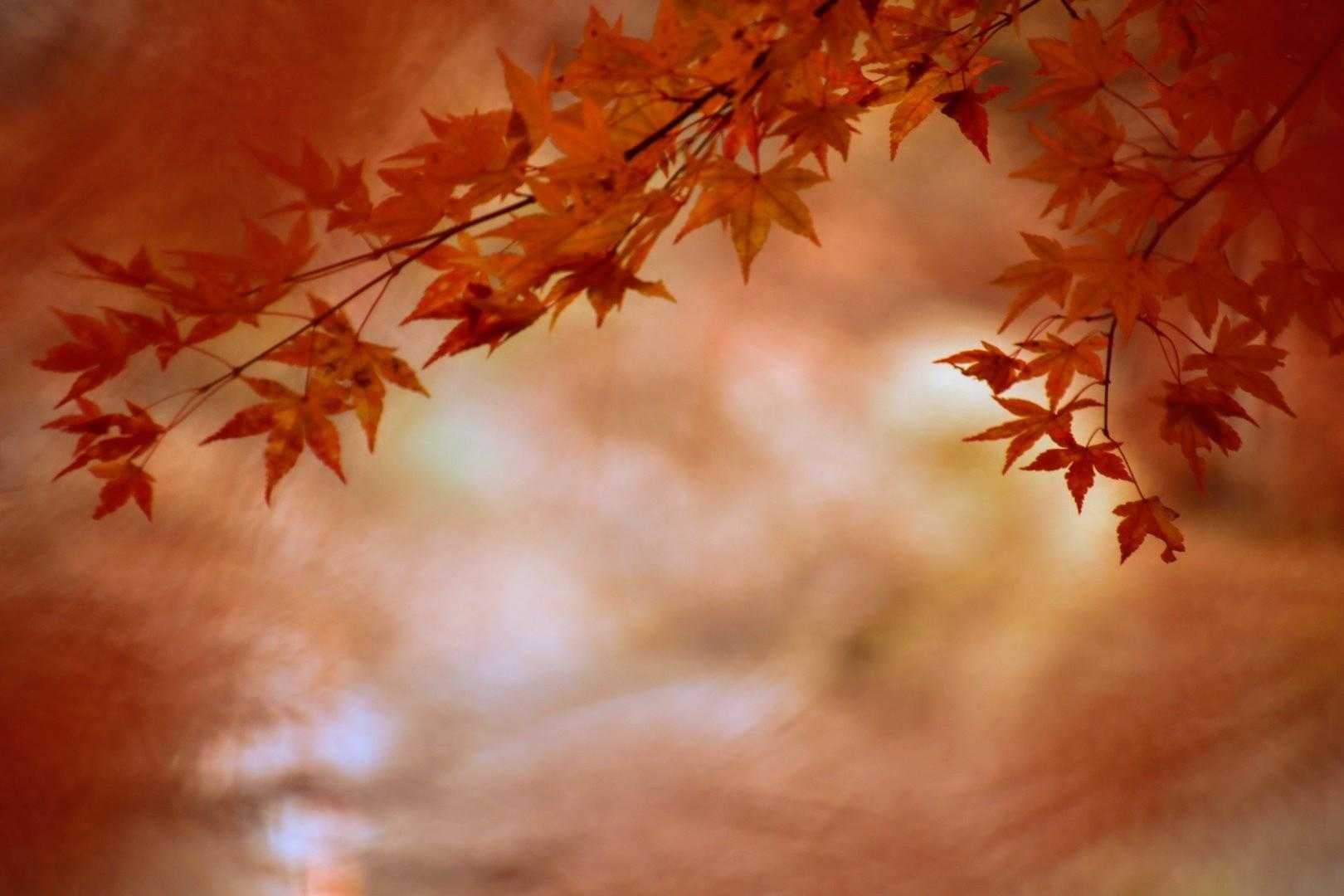 西沢渓谷、何度訪れても良い場所です✨