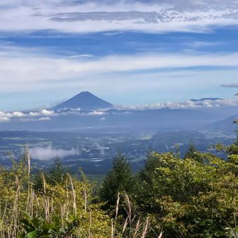 ここからの富士山も素敵