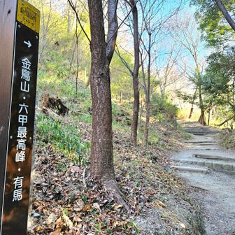 横池まで登ろうかな🥾