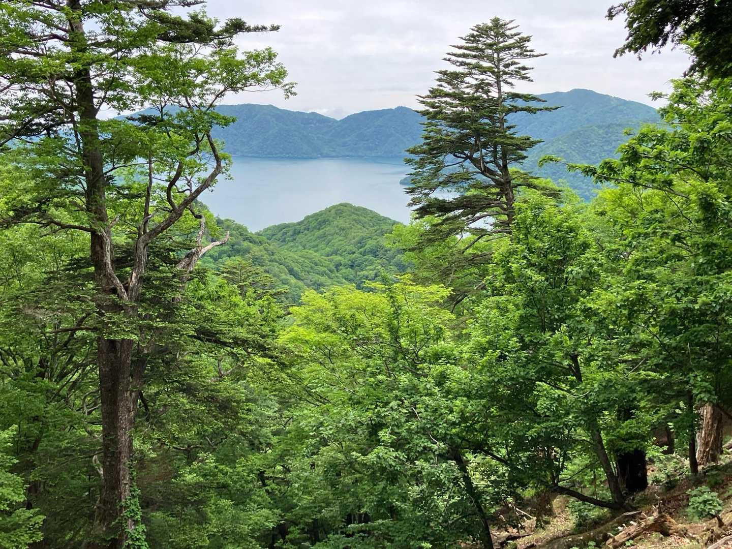 所々　中禅寺湖見えたり
