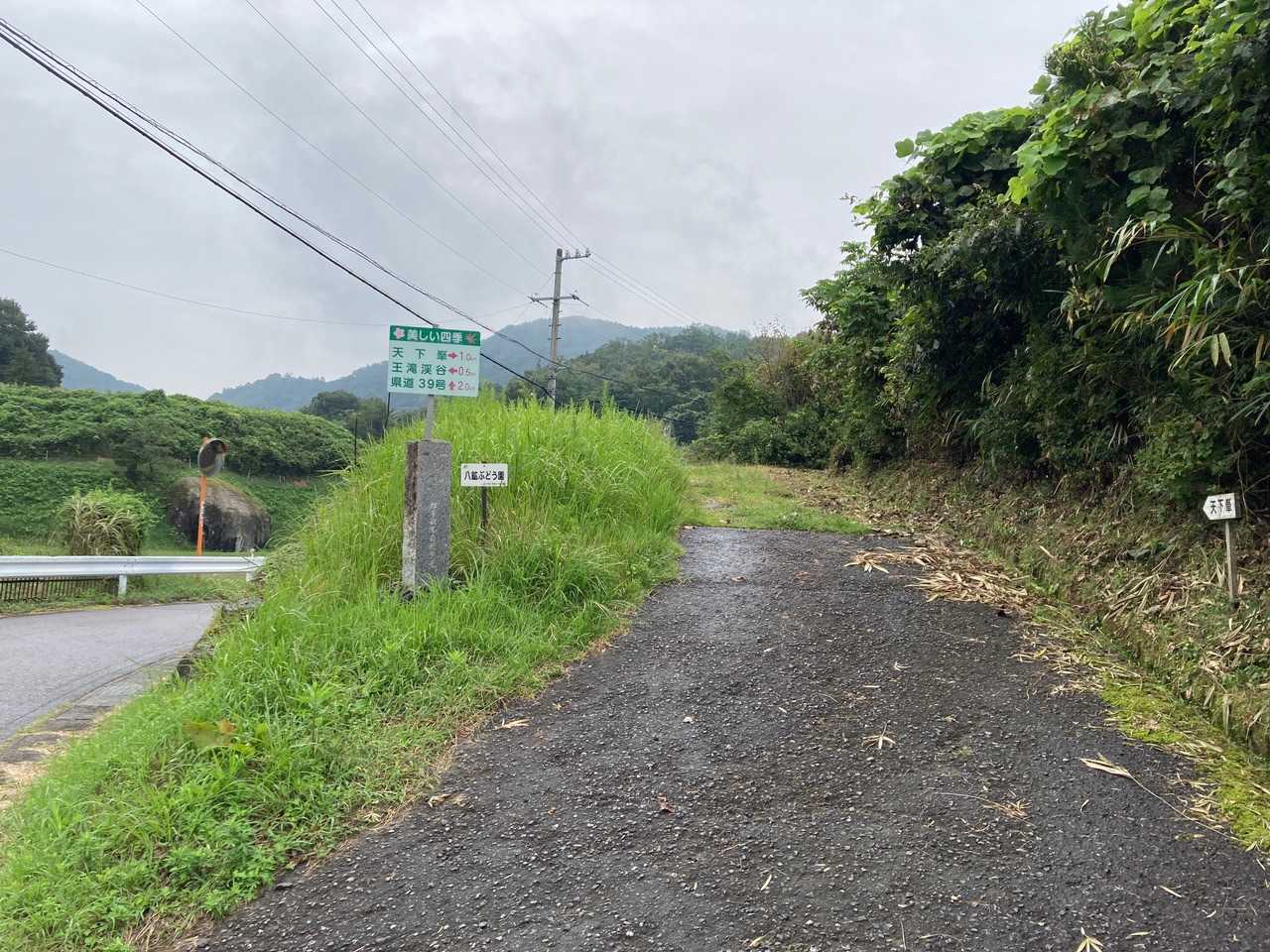 もう500mも歩いた⁇
さらに　進みます。☘️