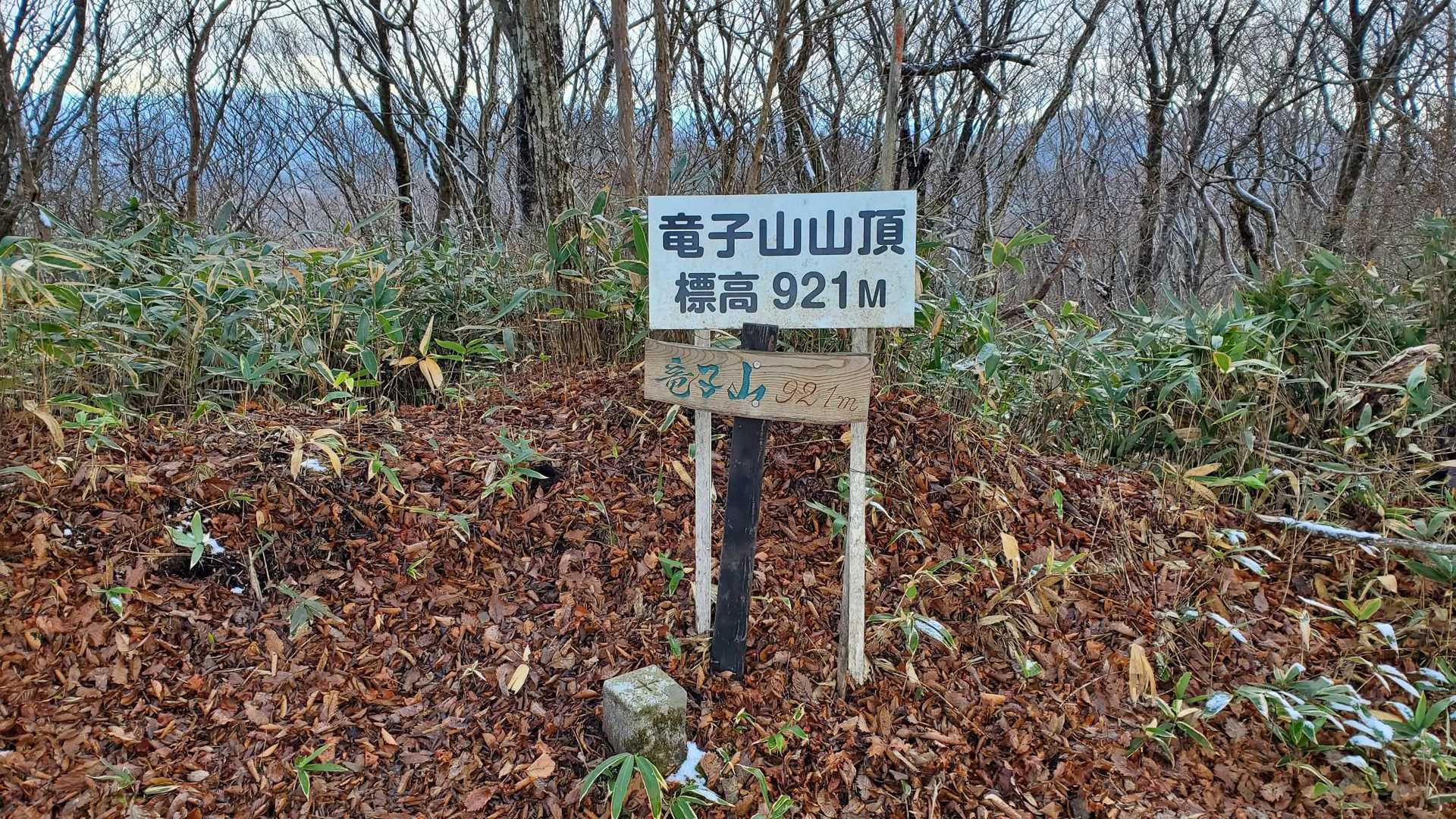 展望はなし