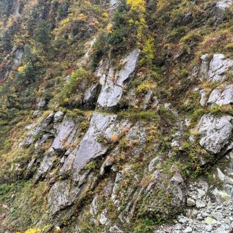 水平歩道がずっと続く道
険しい道ですが、気をつけて歩けばそこまで怖くはないかな