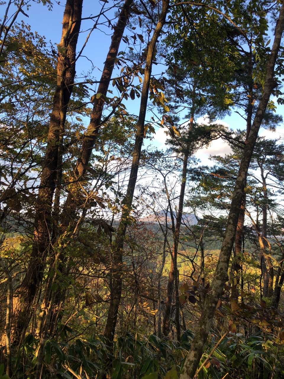 七時雨山