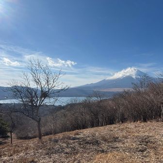 ここからも良い👍
山中湖と🗻