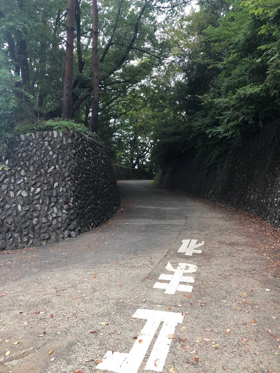 鉄道公園の駐車場に車を置いて出発です。やよいさんとはお久しぶりです。