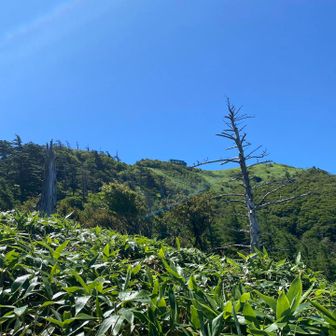 頂上見えてるけどなかなか辿りつかない😀